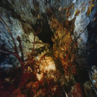 /album/in-the-land-behind-the-magic-mirror/a006-abstract-land-jpg/